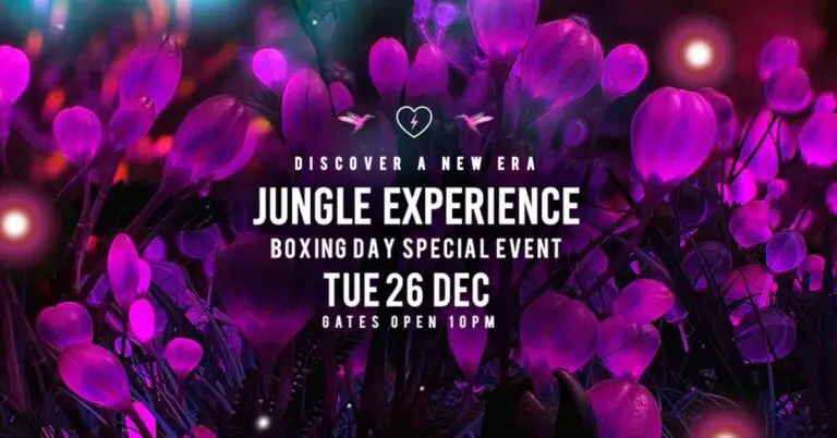 jungle experience dec 26 768x402