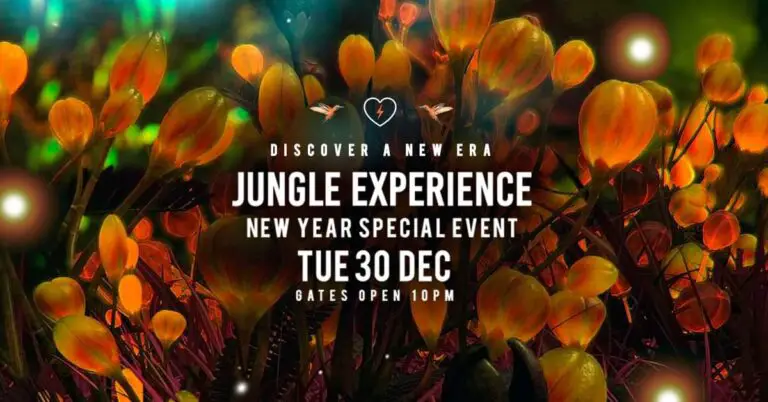 jungle experience december 30 768x402